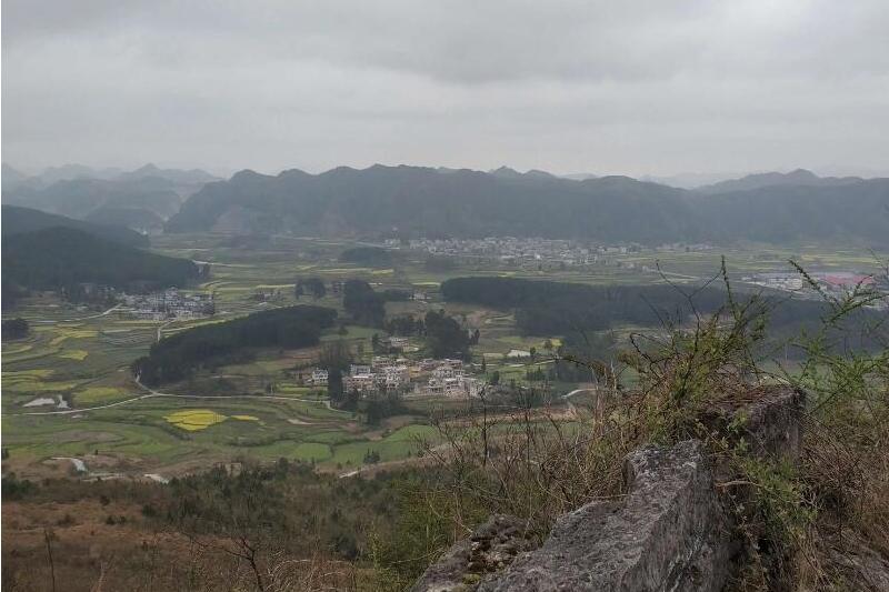 九龍營 九龍營
