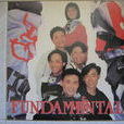 Fundamental樂隊 Fundamental樂隊
