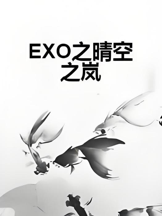 EXO之晴空之嵐 EXO之晴空之嵐