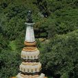 梵塔(古印度傳說) 梵塔(古印度傳說)