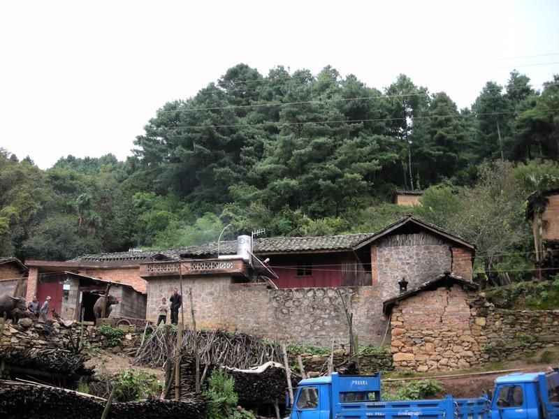 王德沖村 王德沖村
