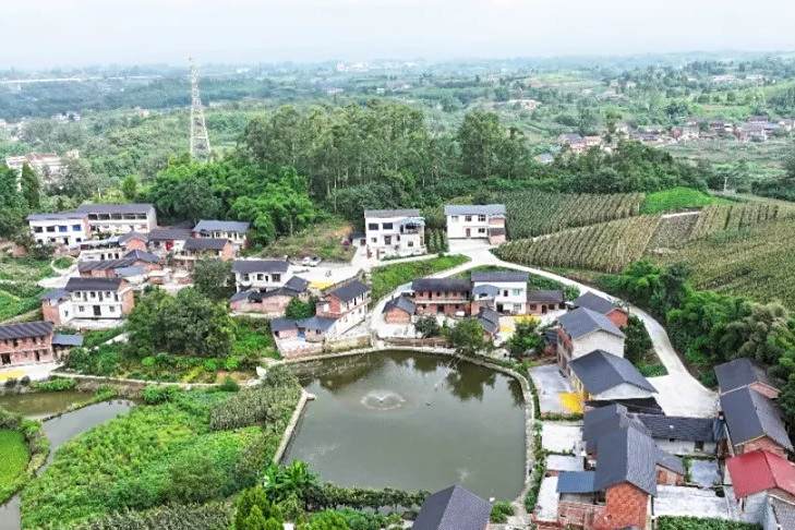龍會村(四川省內江市威遠縣龍會鎮下轄村) 龍會村(四川省內江市威遠縣龍會鎮下轄村)