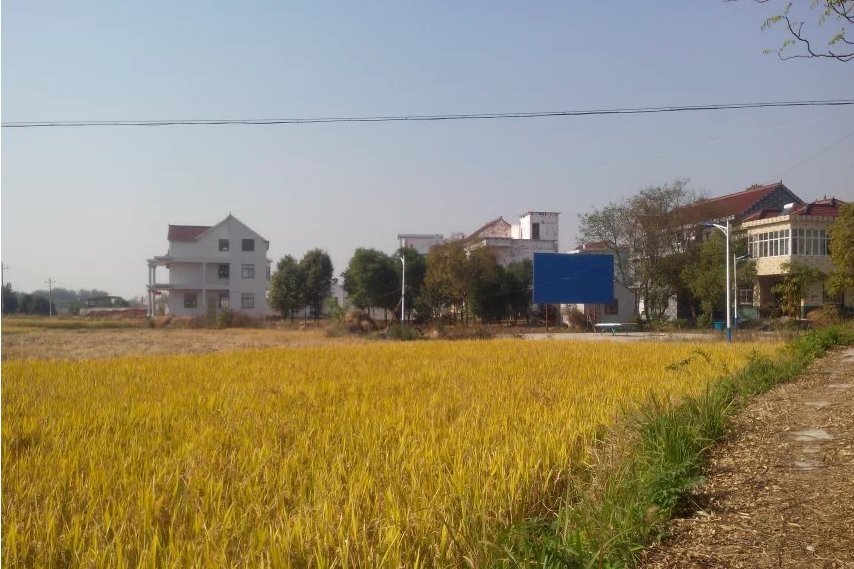 黃家墩(安徽省銅陵市郊區周潭鎮彭橋村居民點) 黃家墩(安徽省銅陵市郊區周潭鎮彭橋村居民點)