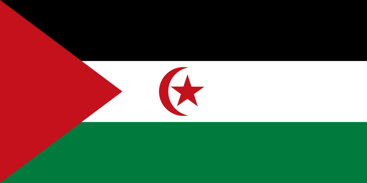 西撒哈拉國旗