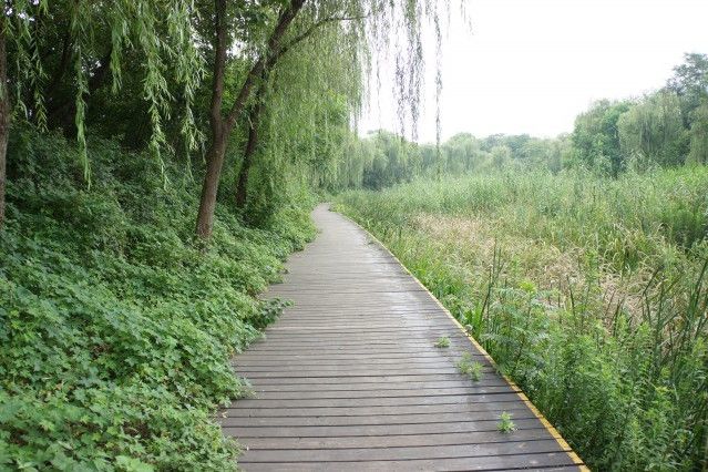 內城牆 內城牆