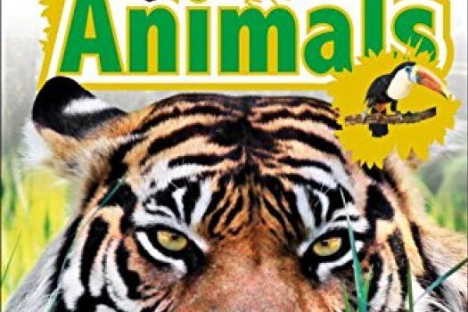 DK Readers L1: Jungle Animals DK Readers L1: Jungle Animals