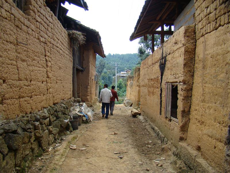 楊梅箐自然村村內道路