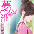 尋香秦淮