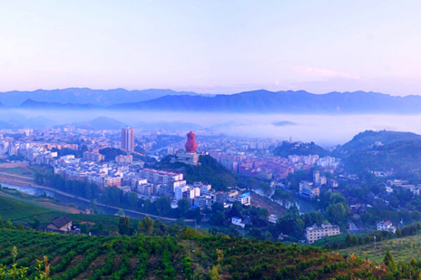 中國茶城 中國茶城