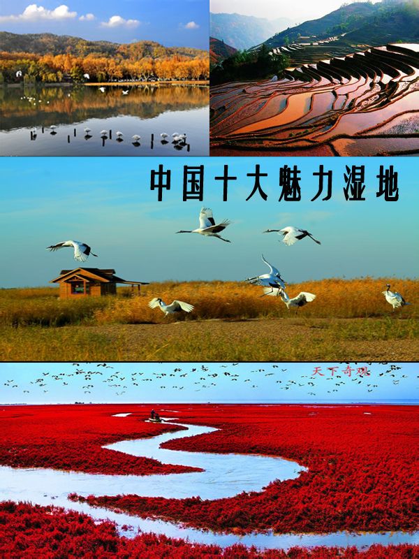 中國十大魅力濕地