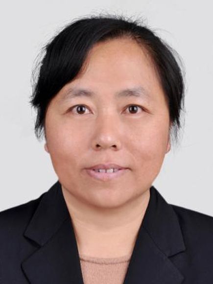 胡連平(雲南省紅河州石屏縣人民政府副縣長) 胡連平(雲南省紅河州石屏縣人民政府副縣長)