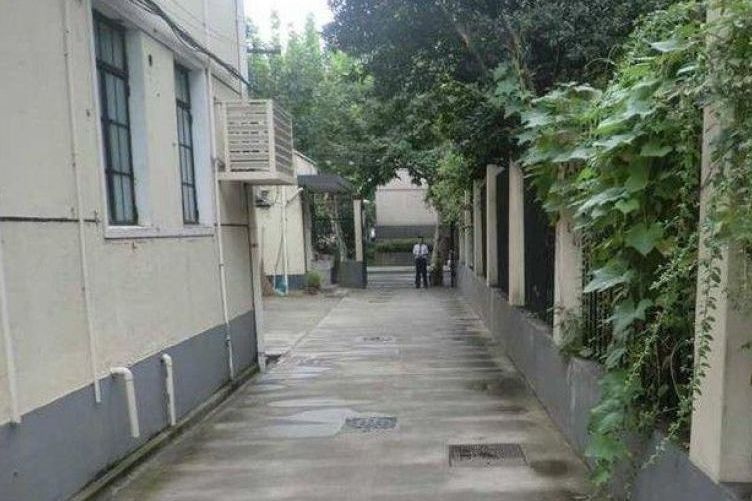 興國路41弄 興國路41弄
