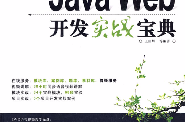 Java Web開發實戰寶典