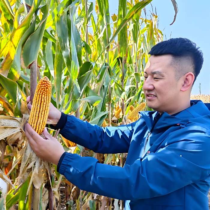 小宋聊農 小宋聊農