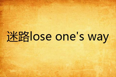 迷路lose one\x27s way 迷路lose one\x27s way
