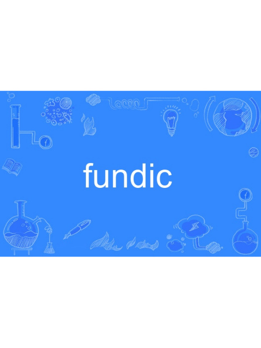 fundic fundic
