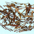 小龍膽草(中藥(龍膽科龍膽屬紅花龍膽)) 小龍膽草(中藥(龍膽科龍膽屬紅花龍膽))