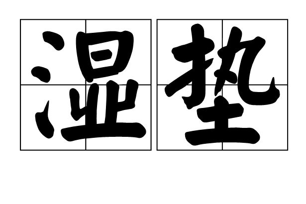 濕墊 濕墊