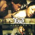 窺FISSURE(DVD) 窺FISSURE(DVD)