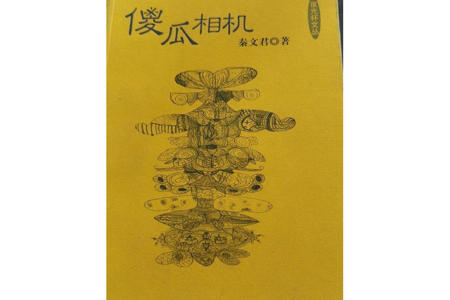 傻瓜相機(2005年文匯出版社出版的圖書) 傻瓜相機(2005年文匯出版社出版的圖書)