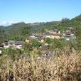 喜坪村 喜坪村