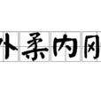 外柔內剛 外柔內剛