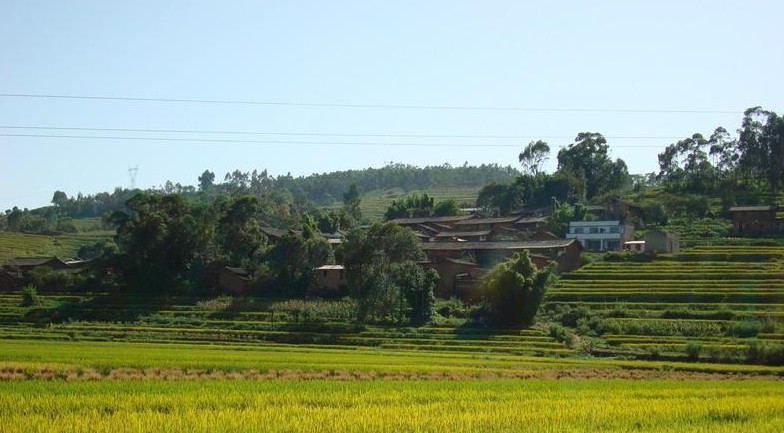 馬草村