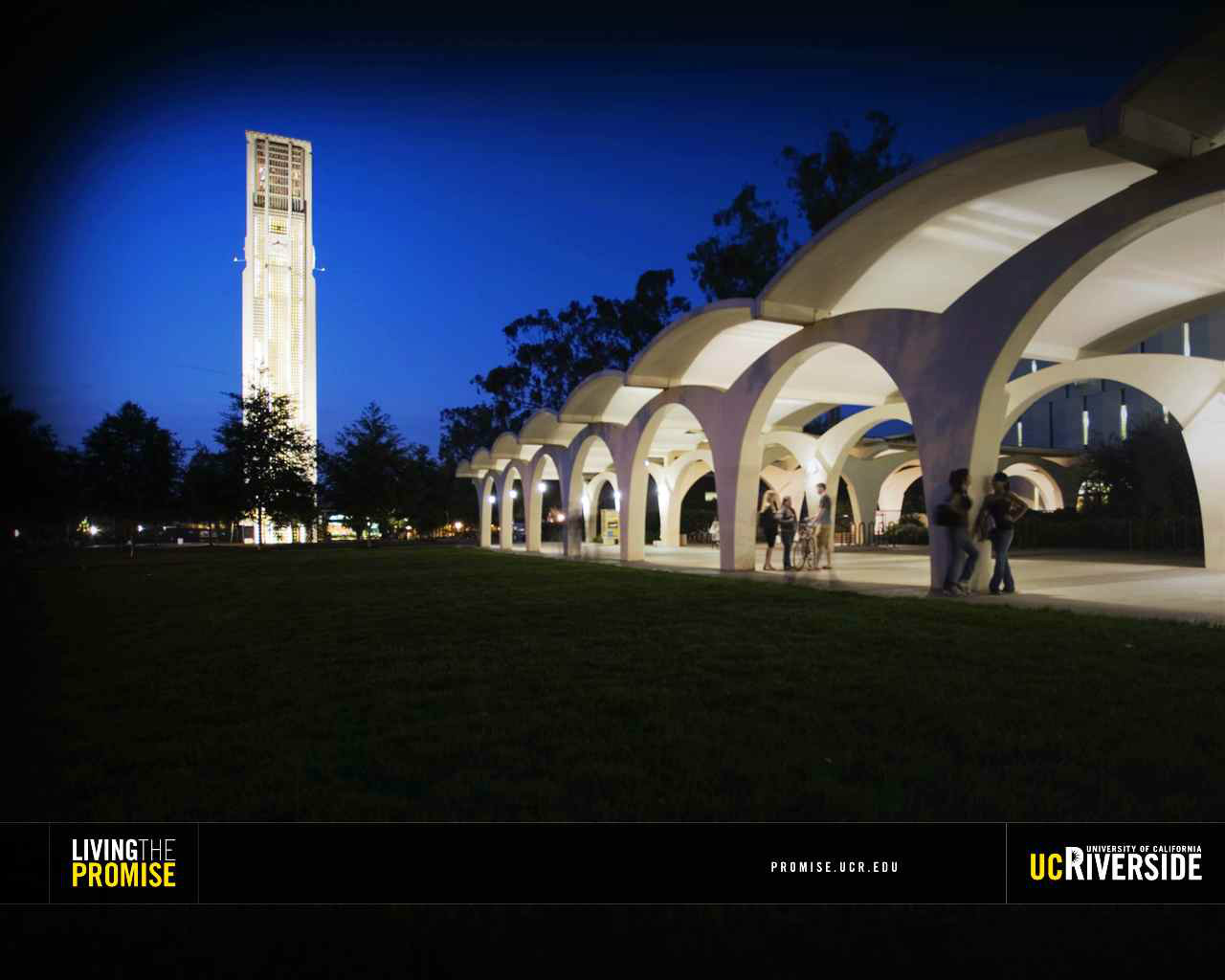 夜幕下的UCR校園