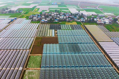 龍泉村(四川省遂寧市射洪市沱牌鎮下轄村) 龍泉村(四川省遂寧市射洪市沱牌鎮下轄村)