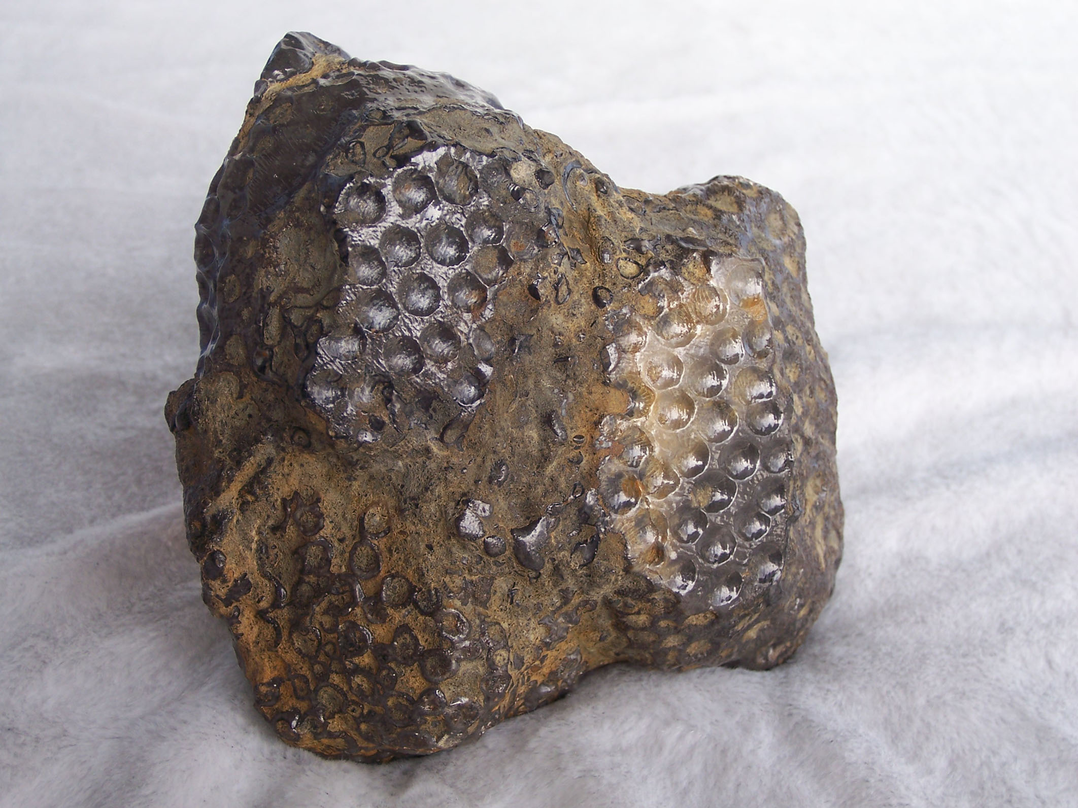 隕石礦物