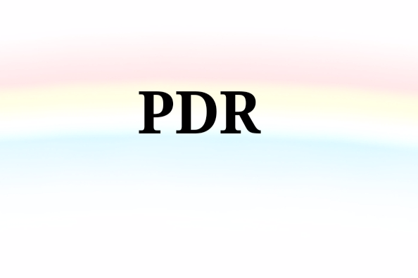 PDR(醫學術語) PDR(醫學術語)