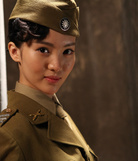 桐柏英雄(2013年桑華、祝東寧、白楊導演電視劇)