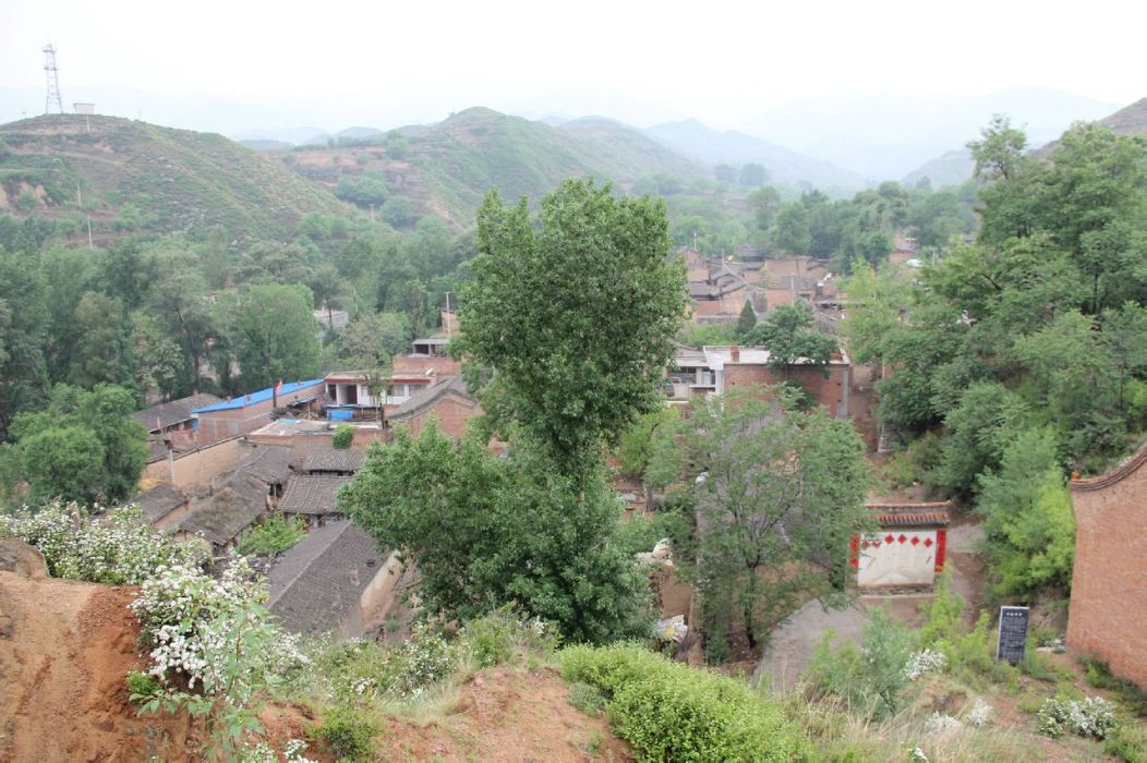 沙活村 沙活村