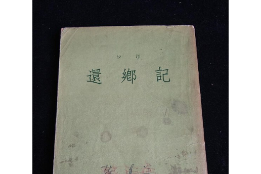 還鄉記(沙汀著作小說) 還鄉記(沙汀著作小說)