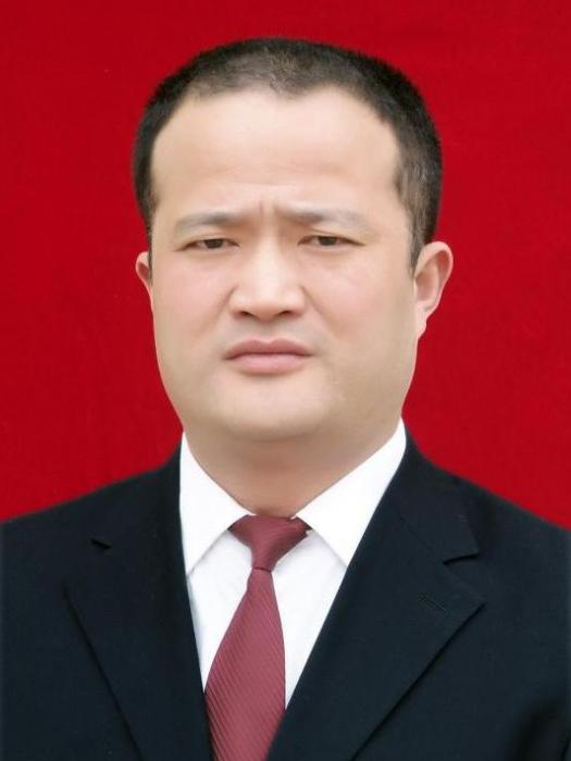 張俊(陝西省西安市高陵區水務局局長)