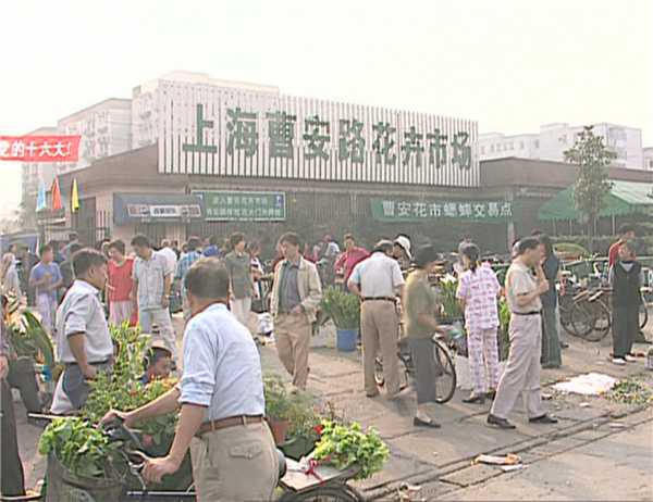 上海曹安花卉交易市場