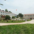 嚴塘鎮(湖南省株洲市茶陵縣嚴塘鎮) 嚴塘鎮(湖南省株洲市茶陵縣嚴塘鎮)