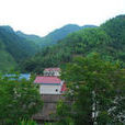 龍池村(安徽寧國市胡樂鎮下轄村) 龍池村(安徽寧國市胡樂鎮下轄村)