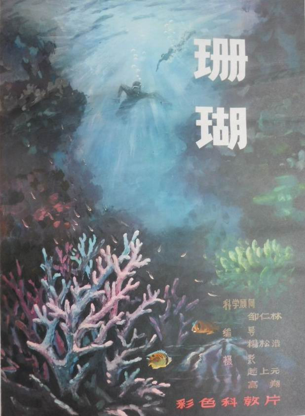 珊瑚(1982年楊松浩執導科教片)