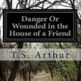 Danger or Wounded in the House of a Friend(書籍)