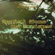 Tropical Storms and Hurricanes Tropical Storms and Hurricanes