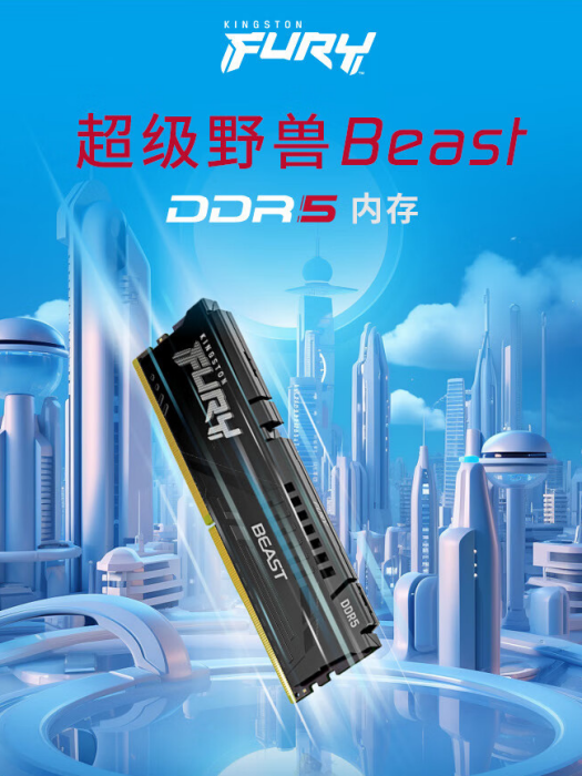 FURY Beast DDR5 FURY Beast DDR5