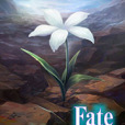 Fate/Illusion Fate/Illusion