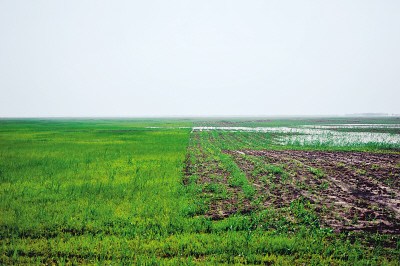 黑龍江明水國家級自然保護區