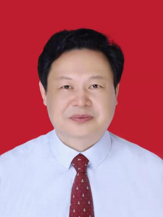 李正發(安徽省六安市金安區三十鋪鎮人大主席) 李正發(安徽省六安市金安區三十鋪鎮人大主席)