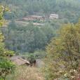竹溝村(雲南省尋甸縣金所鄉下轄村)
