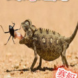 終焉之龍 終焉之龍
