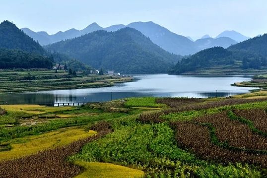 來龍湖 來龍湖