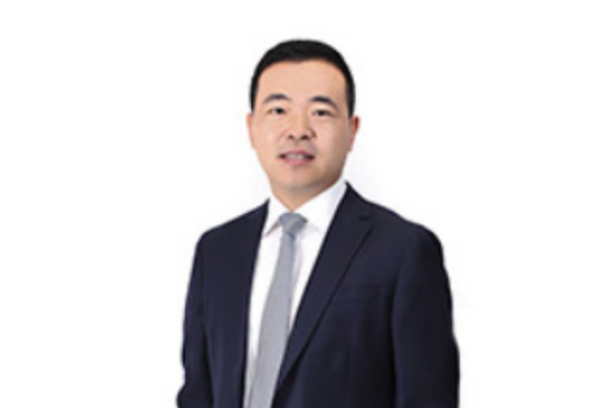 王鵬(融創中國控股有限公司執行總裁兼東南集團總裁)