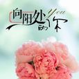 向陽處的你 向陽處的你